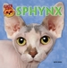 Sphynx