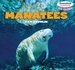 Manatees