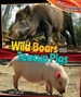 Wild Boars and Teacup Pigs