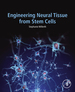 Engineering Neural Tissue From Stem Cells