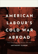 American Labour's Cold War Abroad