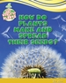 How Do Plants Make and Spread Their Seeds?