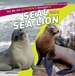 Tell Me the Difference Between a Seal and a Sea Lion