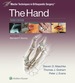 Master Techniques in Orthopaedic Surgery: the Hand