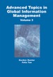 Advanced Topics in Global Information Management, Volume 3