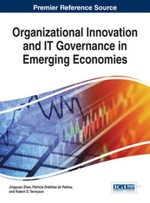 Organizational Innovation and It Governance in Emerging Economies