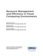Resource Management and Efficiency in Cloud Computing Environments