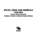 Rocks Gems and Minerals for Kids Facts Photos and Fun Childrens Rock Mineral Books Edition