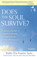 Does the Soul Survive? (2nd Edition)