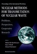 Nuclear Methods for Transmutation of Nuclear Waste: Problems, Perspectives, Cooperative Research-Proceedings of the International Workshop