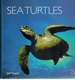 Sea Turtles of the World