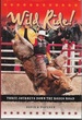 Wild Ride! Three Journeys Down the Rodeo Road