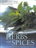Cooking With Herbs and Spices: the Complete Guide to Aromatic Ingredients and How to Use Them, With Over 200 Recipes