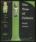 The Tree of Culture