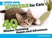 Boredom Busters for Cats: 40 Whisker-Twitching Games and Adventures (Paperback)