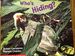 Who's Hiding? (Paperback) By Susan Canizares, Pamela Chanko