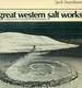 Great Western Salt Works: Essays on the Meaning of Post-Formulist Art