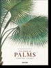 Martius. the Book of Palms