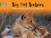 Big Cat Babies: Band 05/Green