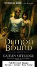 Demon Bound (Black London, Book 2)