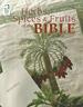 Herbs, Spices & Fruits of the Bible