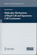 Molecular Mechanisms of Basal Cell and Squamous Cell Carcinomas (Medical Intelligence Unit)