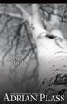 Silver Birches: a Novel