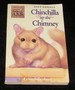 Chinchilla Up the Chimney