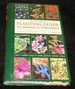 The Mix & Match Planting Guide to Annuals & Perennials