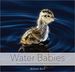 Water Babies: the Hidden Lives of Baby Wetland Birds