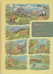 Illustrated Encyclopedia of Animal Life Volume 7