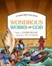 Wondrous Works of God: a Family Bible Story Book