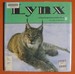 Lynx (Nature Watch)