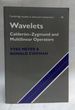Wavelets: Calderon-Zygmund and Multilinear Operators (Cambridge Studies in Advanced Mathematics, Series Number 48)