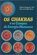 Os Chakras E Os Campos De Energia Humanos