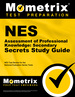 Nes Assessment of Professional Knowledge: Secondary Secrets Study Guide: Nes Test Review for the National Evaluation Series Tests