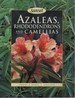 Azaleas, Rhododendrons and Camellias