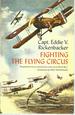 Fighting the Flying Circus