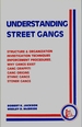 Understanding Street Gangs-By Robert K Jackson, Wesley D. McBride (1990, Trade Paperback)