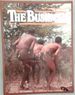 The Bushmen (Indaba Colour Guides)