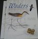 Waders of Southern Africa