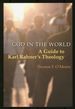 God in the World: a Guide to Karl Rahner's Theology