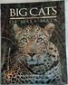 Big Cats of Mala Mala