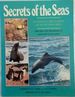 Secrets of the Seas: Illustrated Guide to Marine Life Off Southern Africa