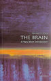 The Brain: a Very Short Introduction (Very Short Introductions)