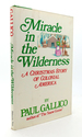 Miracle in the Wilderness a Christmas Story of Colonial America