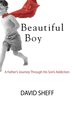 Beautiful Boy: a Father's Journey Through His Son's Addiction