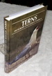 Terns of Europe and North America