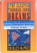 Stop Sleeping Through Your Dreams; a Guide to Awakening Consciousness During Dream Sleep