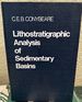 Lithostratigraphic Analysis of Sedimentary Basins